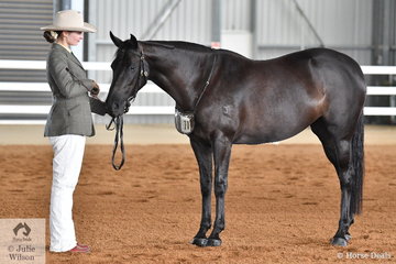 Sally Beer did the honours with the Beer Family's mare, 'Parra Reizig' that was declared Champion Led Four Year Old.