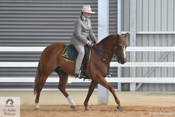 Well known ans successful Stock Horse competitor, Fiona Beer rode Cassie Lea's, 'Waymere Oaks Legend' to fourth place in the class for Hack Gelding Five Years and Over, Not Exceeding 15hh.'