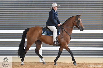 Hayley Hinchcliffe's, 'Doublehaich Romantic Jewel' is pictured during the class for Hack Mare Five years and Over Over 15hh.