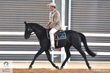David Nash rode his and Emma Nash's, 'Hardal Uno Luna' to win the class for Four Year Old Male Hack and go on to take out the  Junior Hack Championship and later in the evening the Runner Up Supreme Exhibit Under saddle.