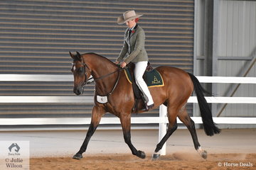Kate Schoen rode her beautiful Supreme Led, 'Orlanga Popcorn' to take second place in the EJ ans Co Equestrian Jewlery Hack Challenge and fourth place in the Open Challenge.