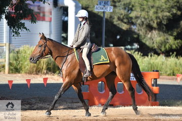 Simon Creely's daughter, rode the delightful 'Bingley Miley' to fourth place in the Junior Hack Rider under 13 years.