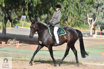 What a show. Last night 17 year old, Olivia Henzen claimed the  Marsh Carney Supreme Ridden Exhibit award and today they again outrode their older peers again to claim the Terragan and Tambeau Stud Open Challenge riding, 'Bushdrift Coolplay'.
