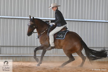 Tia Andrews had a great show. Yesterday she rode her, 'Waymere Oaks Enterprise' to win the ASHLA class and today won the EJ and Co Equestrian Jewellery Hack Challenge and they are pictured on their way to third place in the Terragen and Tambeau Studs Open Challenge.