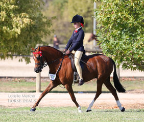 Amelia Petrie rode "Nimerion Park Giorgio" to a Top 10 Small Saddle Pony placing.