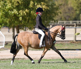 Ebonie & Tamara Lee's exhibit "Tamarie Park Lollipop" placed TOp 10 in the Small Saddle Pony class.