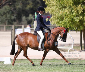 Tamara Lee rode Kym Munkman's "Beckworth Commanding Elegance" for a Top 10 placing in the Large Pony event.