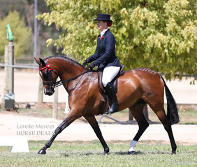 Top 10 placegetter in the Small Saddle Galloway event was Kaye Thomson's "Bremala Miss Victoria", ridden by Brylee Thomson.