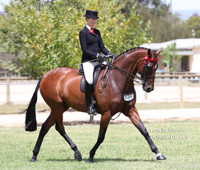 Ali Berwick and Leesa Anderson's exhibit "Revelry RP" was Champion Large Saddle Hack.