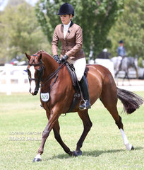 Venita Bacchetto's "Paulgren Park Panache" was declared Champion Small Show Hunter Galloway.