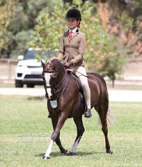 Kate Kyros rode "Owendale Beesting" to win Reserve Champion Small Show Hunter Pony.