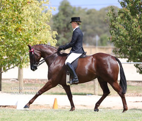 Ebonie Lee rode Graham Elliot's "Kolbeach Holly's Knowing" to a Top 10 Placing in the Large Saddle Galloway event.