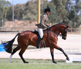 Rhys Stones riding "EBL Rich List to win the Small Show Hunter Hack event, exhibited by Hendler and J&R Equestrian.