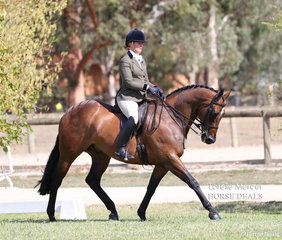 Amelia Sadler's "Tarintino" placed Top 10 in the Small Show Hunter Hack event.