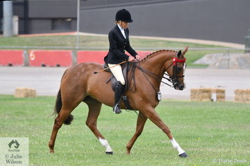 Francesca Christie rode her beautiful, 'SLM Pretty Woman' to take fourth place in the class for Novice Hack 15-15.2hh first up on day one of the 2019 ACTewAGL Royal Canberra Show.
