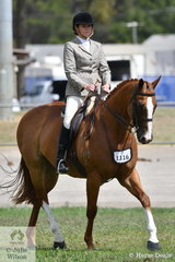 Maryanne Finemore rode her, 'Another Grand' to take sixth place in the strong class for Novice Show Hunter Over 16hh on day one of the 2019 ACTewAGL Royal Canberra Show.