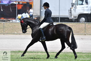 Melanie Burns rode the PBM Show Team's Barastoc Champion Newcomer Small Hack,' 'KT Song N Dance' to win the class for Novice Hack 15-15.2hh
