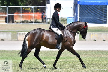 Margot Haynes rode the Haynes, Quayle and Andrea Shaw nomination, 'Westgrove Pageant Material' to win the class for Novice Heavyweight 14.2-15hh.
