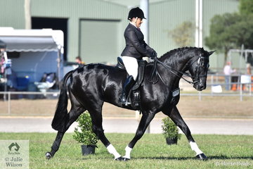 Abby Lovell rode the Lovell Family, Austin and Lilley nomination and many peoples favourite Show Hunter, 'Dicavalli Royal Rory' to win the class for Open Show Hunter 15.2-16hh.