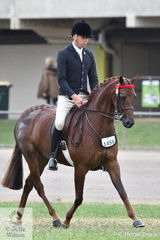 Greg Mickan rode the Romsey Park, Jillian Goldsmith and Kym Ellery nomination, 'Highgrove In Your Dreams' to win the class for Open Lightweight Galloway 14-14.2hh.