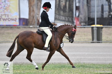 Ella Manning rode the Margot Haynes, David Quayle and Catherine Gale nomination, 'Newington Tinkerbell' to take second place in the class for Open Pony 11.2-12hh.