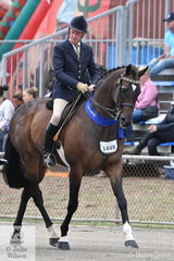 Stephen Gladstone rode his beautiful, 'Heartbreaker' to win the class for Gelding Showing Thoroughbred Qualities Over 15hh.