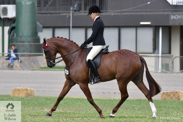 Ali Berwick rode her own and Emma Barkla's nomination, 'Royal Oak Foreign Affairs' to take third place in the class for Open Hack 15-15.2hh.