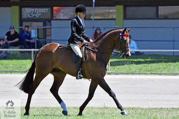 Francesca Christie rode her beautiful, 'Eye Of The Tiger' to second place in the class for Open Hack 16-16.2hh and win the Lady's hack.