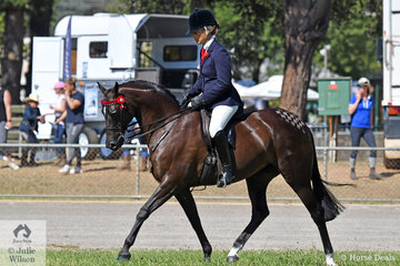 Well known and successful breeder, rider and exhibitor, Joanne Prestwidge rode her home bred, 'Royalwood Songstress' to win the class for Open Heavyweight Galloway 14-14.2hh and ridden Riding Pony 14-14.2hh.