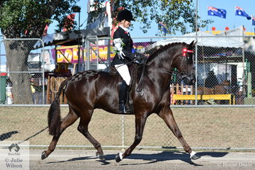Brynie Lee has been winning Rider classes up through the age groups and now at just 18 she won the class for Lady Rider 18 AU 21 Years and went on to be declared 2019 ACTewAGL Royal Canberra Show Champion Lady Rider.