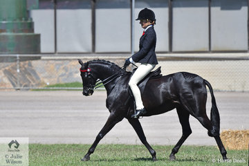 Renae Dorney's, 'Nottingham Love Song' won the class for Open Pony 13-13.2hh ans went on to be declared Champion Large Pony Hack.