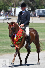 With a spring in their step, Greg Mickan leaves the arena with the Romsey Park, Jillian Goldsmith and Kym Ellery nomination and Champion Galloway Hack, 'Highgrove In Your Dreams'