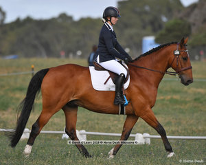 "COOL MAC GOOL" in the EV65 Dressage Phase ridden by Erin Young