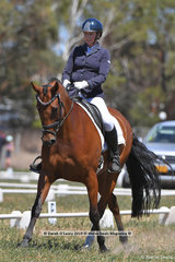 "REGAL RED JASPER" ridden by Kirilee Hosier in the CCN 2.5 Star Dressage Phase