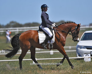 "WILLTONY GARNETT" in the CCN 2 Star Dressage Phase ridden by Leesa Clausing