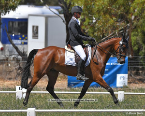 "JAYBEE VIBRANT" ridden by Robert Palm in the CCN 2.5 Star Dressage Phase