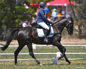"PATANGA LODGE BENTLEY" ridden by Sheridan Wilson in the CCN 2 Star Dressage Phase
