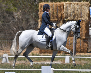 "KLYDOSCOPE" ridden by Claire McDermott in the CCN 2.5 Star Dressage Phase