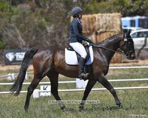 "LINE OF FLITE" ridden by Lauren Jago in the CCN 2 Star Dressage Phase