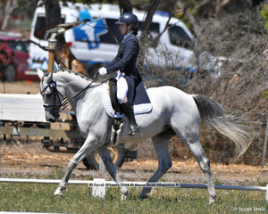 "TOWNSEND LS" ridden by Charlotte Sheldon in the CCN 2.5 Star Dressage phase