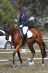 "PEREGRIN TOOK" ridden by Sarah McInnes in the CCN 1 Star Dressage Phase