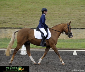 Entering the dressage arena for the EvA60 Junior class was Tiah Shaw on horse Whimpys Lightening at the Sydney Eventing Summer Classic.