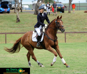Deciding Vote enjoyed being out on the show jumping course with rider Inge Sildnik in the EvA60 on the first day of the Sydney Eventing Summer Classic. .