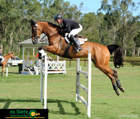 Cooley Down Under was not touching the poles in the CCN2 Star Show Jumping course with rider Tim Boland at the Sydney Eventing Summer Classic.