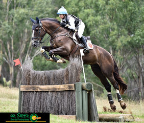 Soaring over the Sydney Eventing Summer Classic CCN1 Star Ditch Palisade is Emma Mason and KPH Kingfisher..