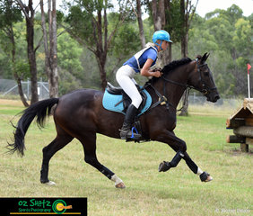 Wasting no time out on the track, Jess Somerfield and Arnage Royal Exhibit gallop their way around the CCN1 Star cross country with ease at the Sydney Eventing Summer Classic.
