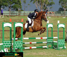 In a competitive field, Amy Roberts and Ironstone Cooper compete in the CCN1 Star class at the Sydney Eventing Summer Classic.