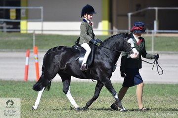 Vanessa Galloway-Smith's, 'Bamborough Snigger' took second place in the class for Leading Rein Show Hunter Pony.