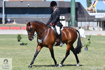 Connor Richardson rode Amanda Triandpoulos' nomination, Diamond Park Khaleesi' to second place in the class for Ridden Standardbred. Earlier the mare was declared Reserve Champion Led Standardbred Mare.