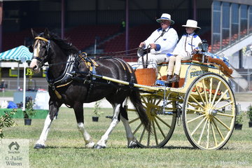 Keeping the award well in the family, Paul Keir with Sidney Keir managing the money, drove 'Springfield Fluffy Feet' to take out the Peter Keir Perpetual Trophy for Champion Business Turnout.
